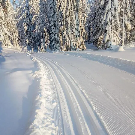 펜션 Riemurahi By Interhome