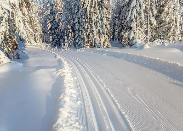 Riemurahi By Interhome * Pertunmaa